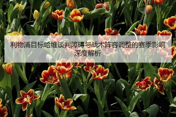 利物浦目标哈维谈判障碍与战术阵容调整的赛季影响深度解析