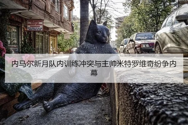 nei-ma-er-xin-yue-dui-nei-xun-lian-chong-tu-yu-zhu-shuai-mi-te-luo-wei-qi-fen-zheng-nei-mu-3-103.jpg