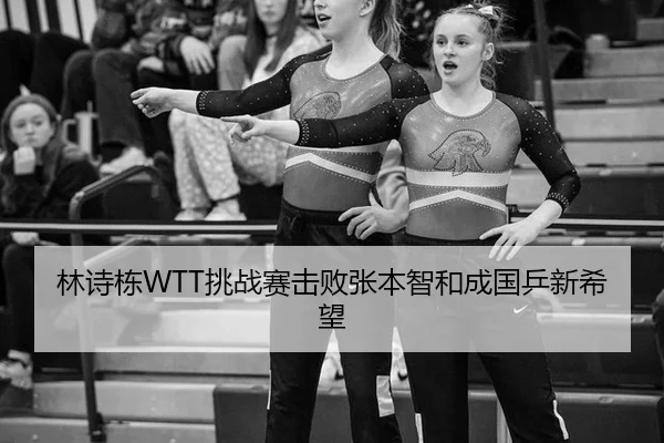 lin-shi-dong-tiao-zhan-sai-ji-bai-zhang-ben-zhi-he-cheng-guo-ping-xin-xi-wang-3-618.jpg