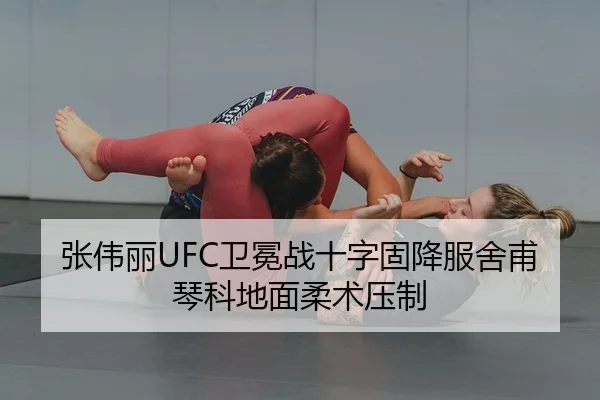 张伟丽UFC卫冕战十字固降服舍甫琴科地面柔术压制