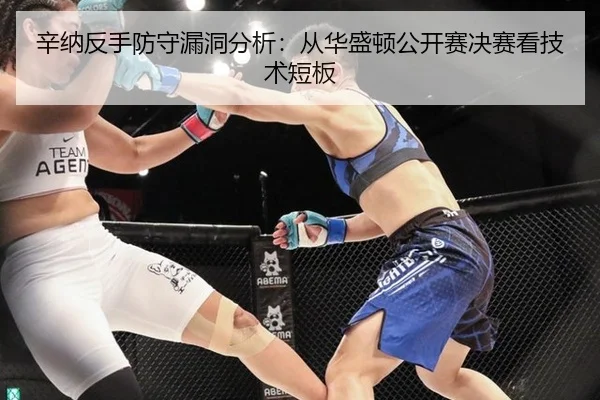 xin-na-fan-shou-fang-shou-lou-dong-fen-xi-cong-hua-sheng-dun-gong-kai-sai-jue-sai-kan-ji-shu-duan-ban-3-358.jpg